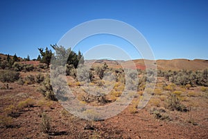 Painted Hills Desert