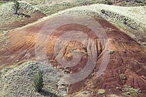 Painted Hills in the John Day Fossil Beds National Monument at Mitchell City, Wheeler County, Northeastern Oregon, USA