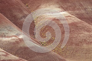 Painted Hills in the John Day Fossil Beds National Monument at Mitchell City, Wheeler County, Northeastern Oregon, USA