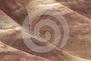 Painted Hills in the John Day Fossil Beds National Monument at Mitchell City, Wheeler County, Northeastern Oregon, USA