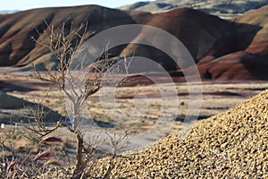 Painted Hills in the John Day Fossil Beds National Monument at Mitchell City, Wheeler County, Northeastern Oregon, USA