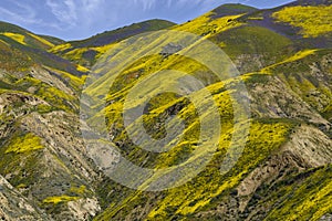 Painted Hills photo