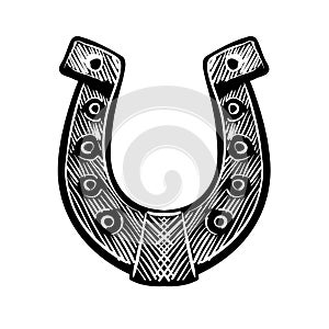 Painted horseshoe mascot. Vector illustration on white background