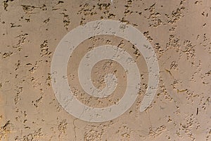 painted house wall with texture as background 6