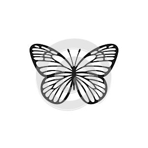 Painted Jezebel butterfly illustration. Realistic butterfly with textured wings. Beautiful butterfly for scrapbooking photo