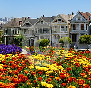 Painted Ladies photo