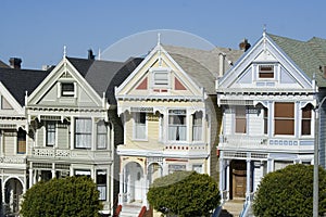 Painted Ladies