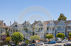 Painted Ladies