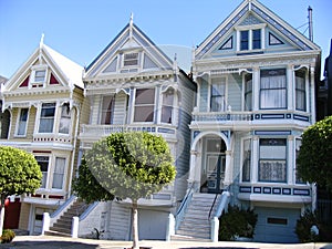 The Painted Ladies