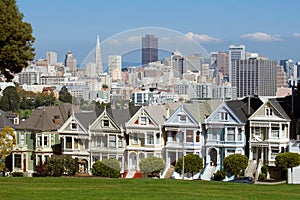 Painted Ladies