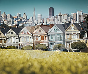 Painted Ladies at Alamo Square, San Francisco, California, USA