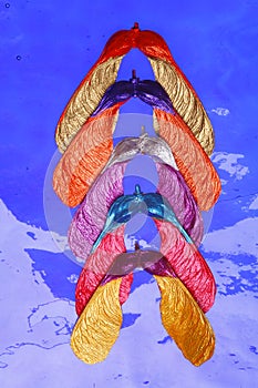 Painted maple seeds on blue