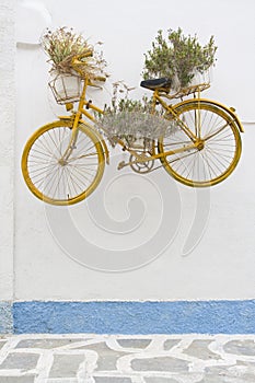 Painted old bicycle decoration