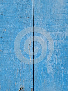 Painted plain blue and rustic wood board background.