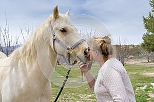 Painted Quarter horse kissed by Linda at Aguanga, CA, USA