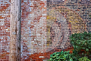 Painted red brick wall with faded owl mural, green plants on right corner and telephone pole on left