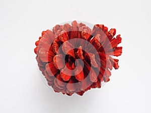 Painted red color pine cone