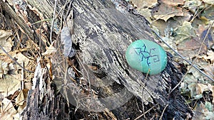 Painted Rock with Abstract Lizard on a Fallen Log in the Forest