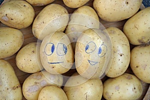 Painted smiling and sad faces on potatoes