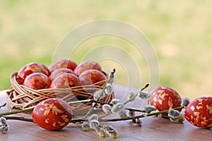 Speckled Easter Eggs and Willow Twigs