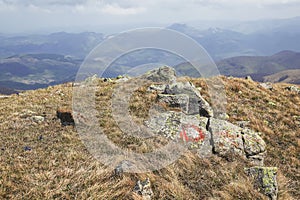 Painted symbol on a rock marking a hiking trail