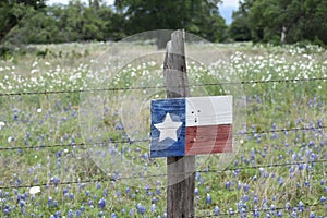 Painted Texas flag on a fence post
