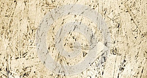 Painted texture of oriented strand board, OSB, light background from pressed wooden panel.