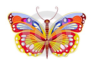 Painted vector bright orange and yellow butterfly isolated design element