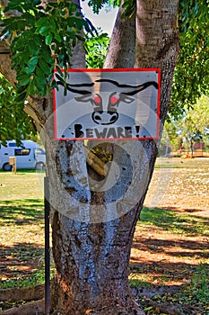 Painted warning sign for dangerous bulls