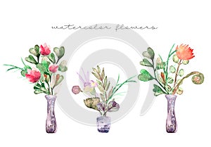 Painted watercolor composition of flowers in pastel colors: summer flowers, herbs, branches, eucalyptus in vase.