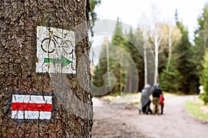 Painted way marking on a tree in forest along hiking trail and mountain bike trail