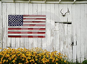 Painted wooden american flag, deer antlers, and a beautiful brown-eyed susan flowers in an old shed