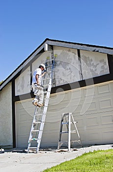 Painter on Ladder