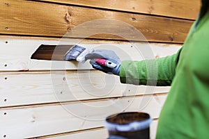 Painter with paintbrush painting wooden house facade