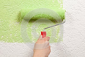 Painter paints a wall with a paint roller