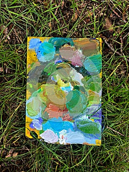 Painter Palette in the Grass