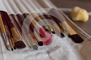 Painter's brushes in a fabric case