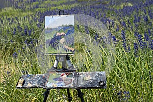 A Painter\'s Tripod in a Field of Blue Flowers