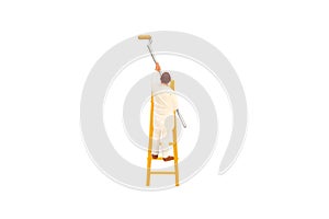 Painter standing on ladder and painting wall with paint tools isolated on white background.
