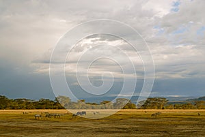 Painterly African Landscape (Kenya) with wildlife