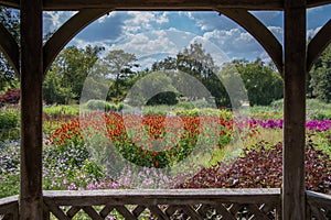 Painterly image of beautiful bright coloured flowers framed by gazebo