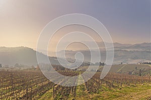 Painterly picture of Tuscany vineyards hills