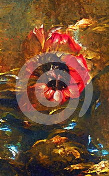 Painting of abstract red poppy with glass and water elements