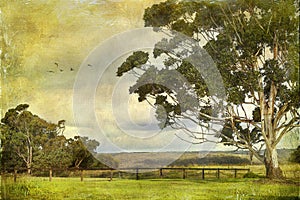 Painting of Australian paddock with gum trees