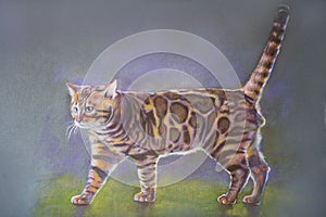 Painting bengal cat