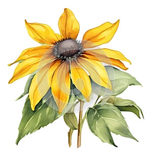 A painting of the Black-Eyed Susan plant. Ai-Generated.