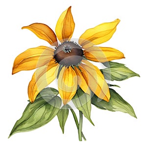 A painting of the Black-Eyed Susan plant. Ai-Generated.