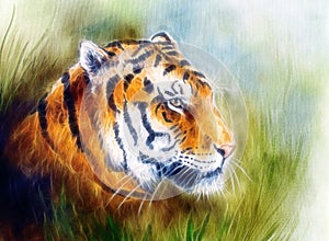 Painting of a bright mighty tiger head on a soft toned abstract