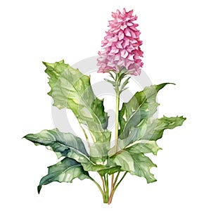 A painting of the Cheddar Pink plant. Ai-Generated.