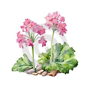 A painting of the Cheddar Pink plant. Ai-Generated.
